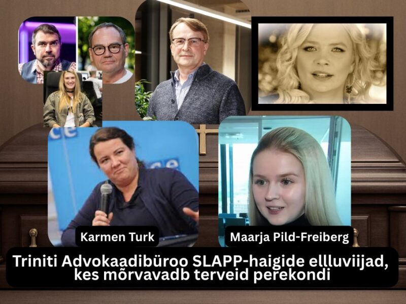 Margus Linnamäe, Jüri Pihel, Karmen Turk, Maarja Pild-Freiberg, Kaspar Kaljas, Nele Laeb tapsid Jan ja Kristi Loigo juriidilise vägivallaga ja SLAPP menetelustega